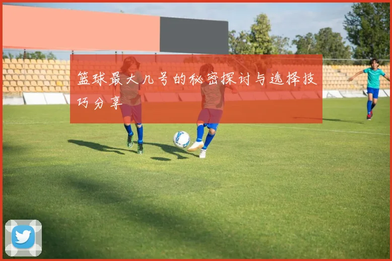 篮球最大几号的秘密探讨与选择技巧分享