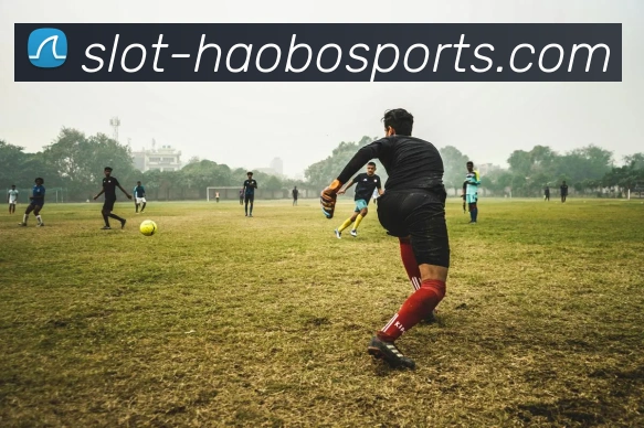 最专业体育游戏娱乐平台发展历程